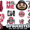10+ FILE GO BUCKEYES Svg Bundle