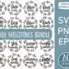 Bestdesignbundle 20231025021114.jpg