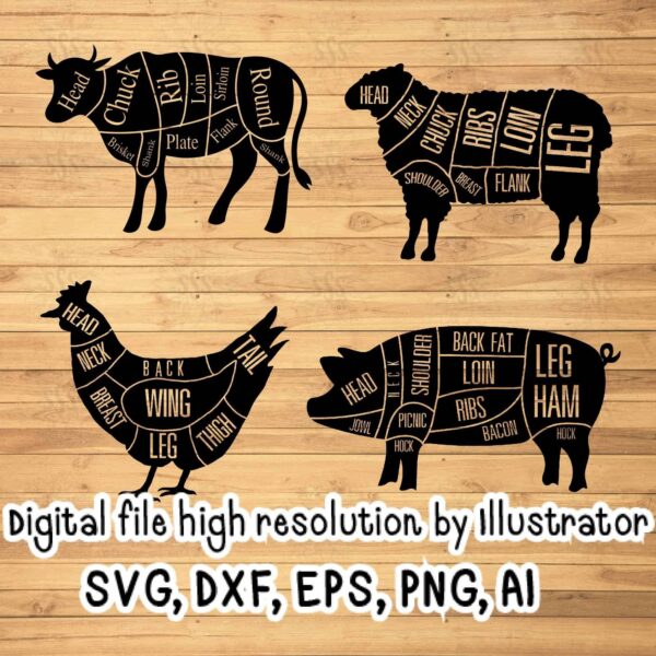 Bestdesignbundle 20231025022104.jpg