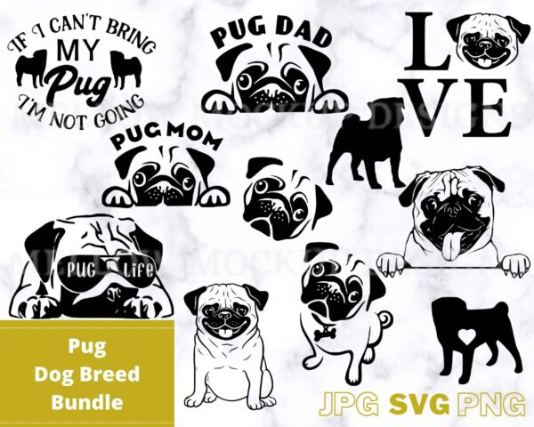 Bestdesignbundle 20231025022155.jpg