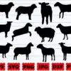 Sheep Svg Bestdesignbundle 20231025022727.jpg