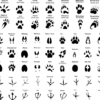 Animal Paw Svg Files For Silhouette, Animal Tracks Hunting Prints Svg