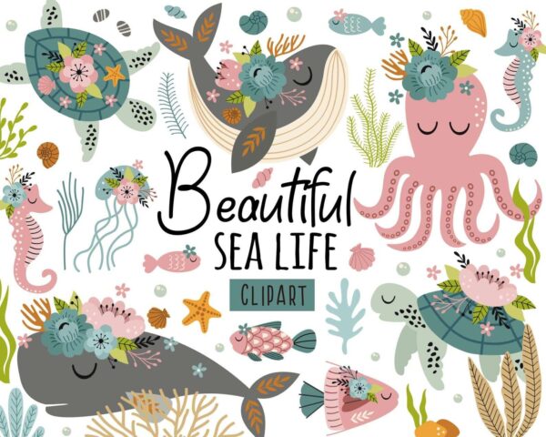 Bestdesignbundle 20231102005408.jpg