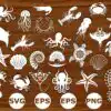 Bestdesignbundle 20231102005415.jpg