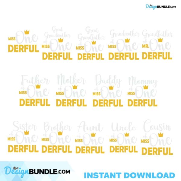 custom-name-family-of-miss-onederful-family-member-bundle-1st