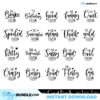 the-sassy-cousin-svg-cricut-quotes-cut-files-bundle-bundle-svg-svg