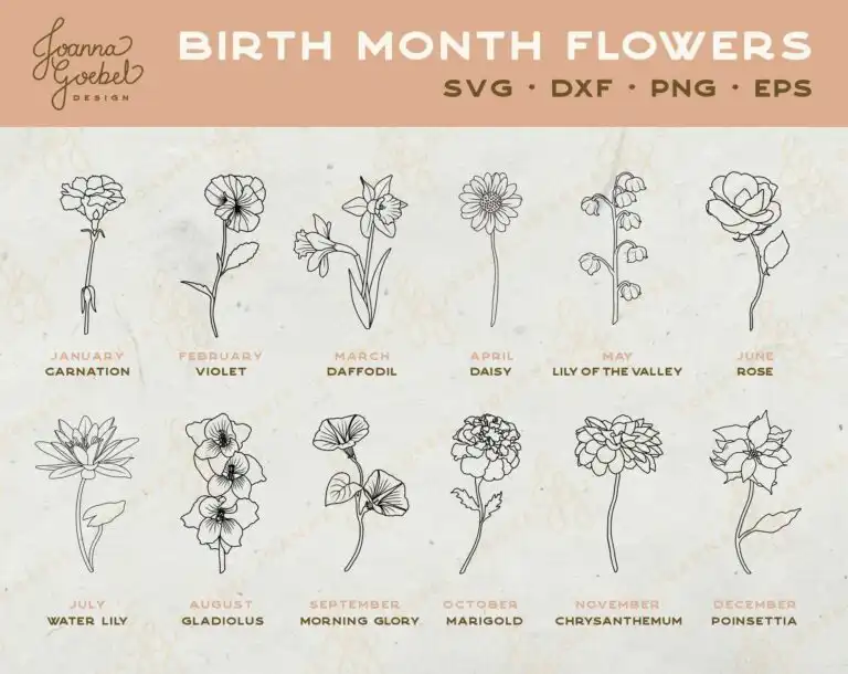 Birth Month Flowers Svg Clipart