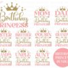Birthday Princess Svg Bundle, Mom Of The Birthday Princess, Dad Of
