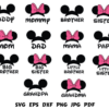 Disney Family Svg, Mickey Family Svg, Minnie Family Svg, Family