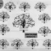 Family Tree 3-14 Members Svg Bundle