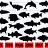 Fish Svg Fish Svg Fish Svg Bundle Fish Silhouette Kl4l5 100x100