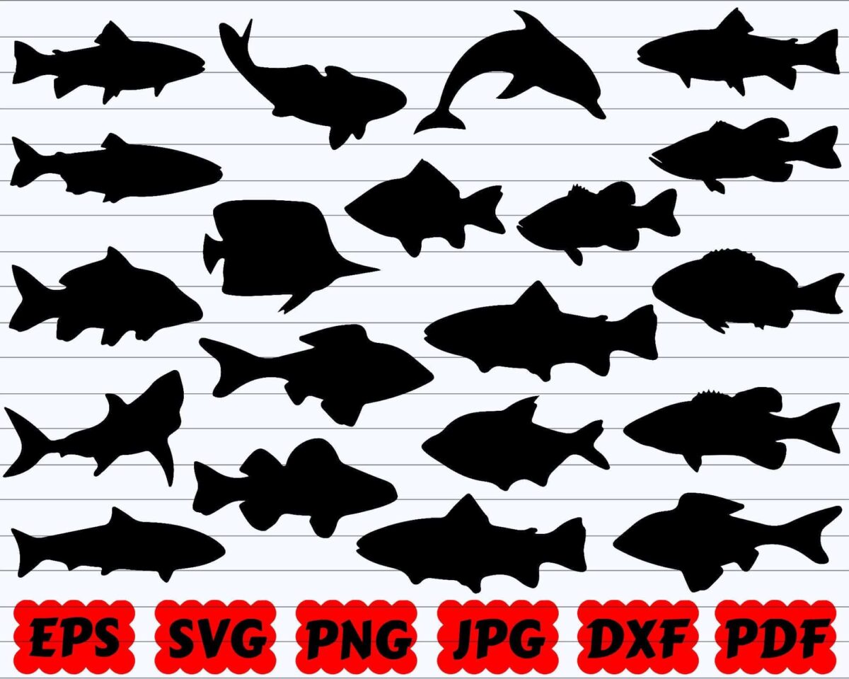 Fish Svg, Fish Svg Bundle, Fish Silhouette