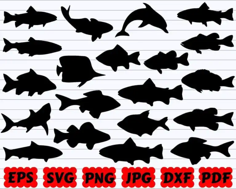 Fish Svg