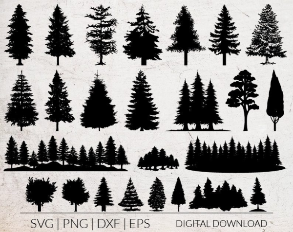 Forest Svg Bundle, Trees Svg Bundle, Trees Silhouette Svg, Forest