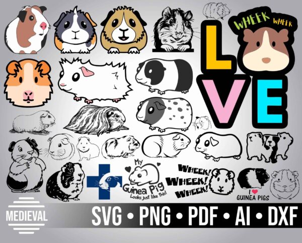 Guinea Pig Clipart, Svg Files For Cricut, Cute Domestic Pet, Silkie