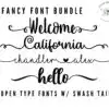 Script Font Bundle-4 Fonts With Swash Tails & Special