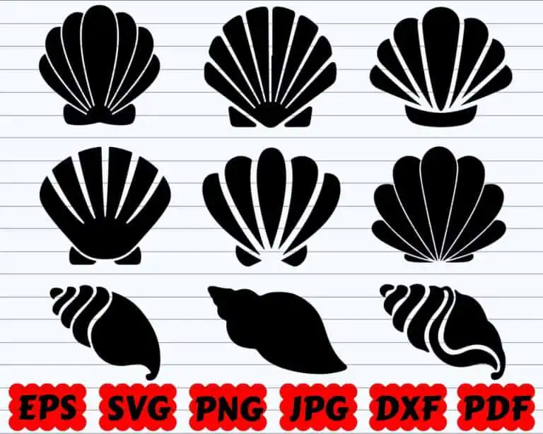 Seashell Svg