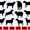 sheep svg sheep svg bundle animals svg sheep silhouette sheep vector 4062y