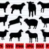 Sheep Svg Sheep Svg Sheep Svg Bundle Animals Svg Sheep Silhouette Sheep Vector 4062y 100x100