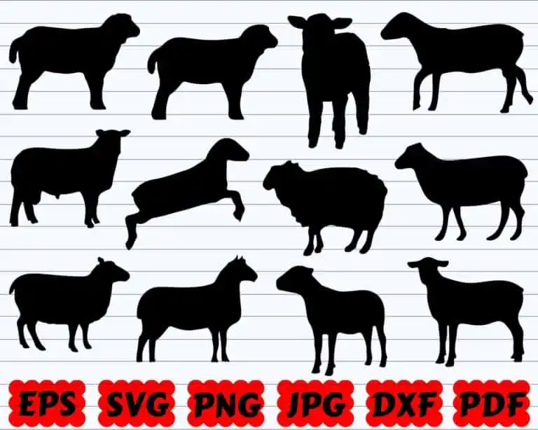 Sheep Svg