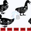 floral-duck-svg-floral-animal-svg-png