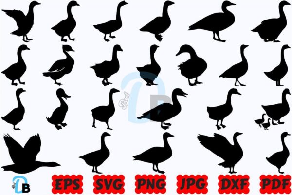 goose-svg-animal-svg-farm-animal-svg