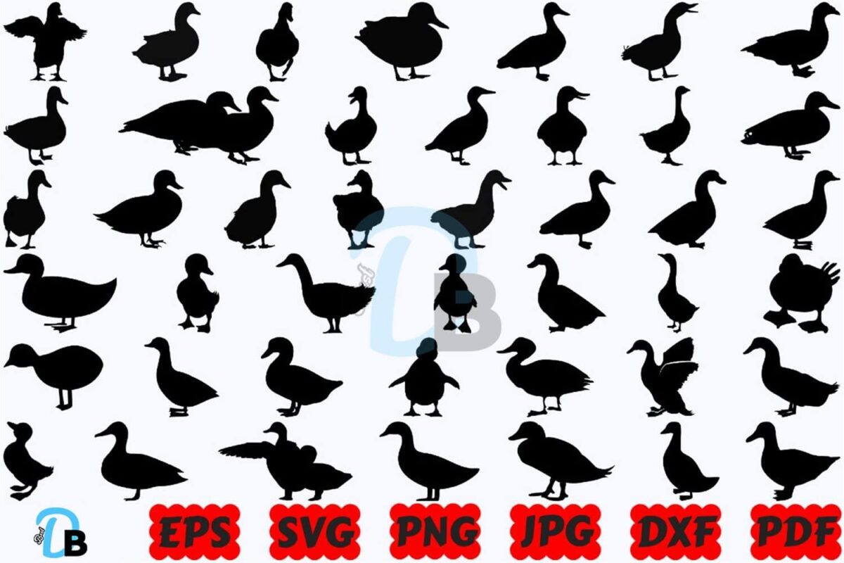duck-svg-animal-svg-farm-animal-svg