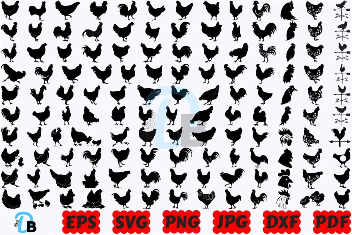 chicken-svg-animal-svg-farm-animal