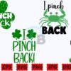 i-pinch-back-svg-funny-st-patricks-day