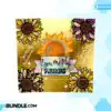 you-are-my-sunshine-tumbler-png