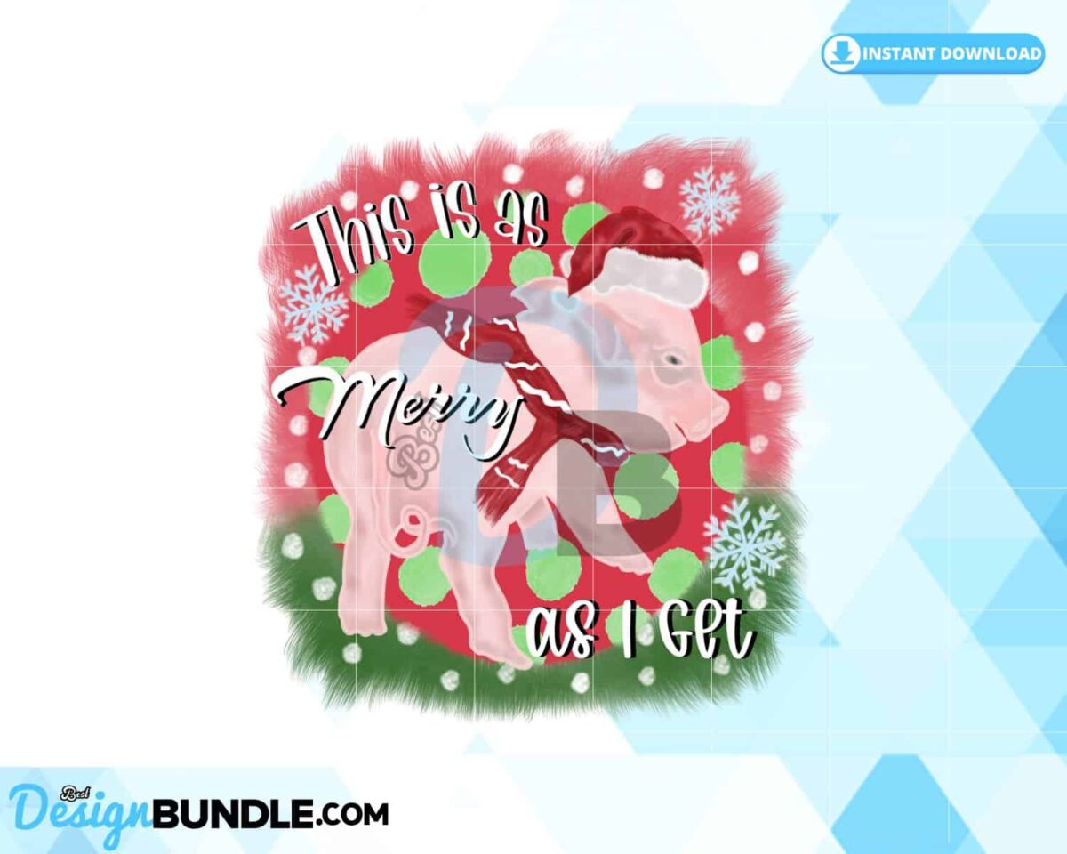 this-is-as-merry-as-i-get-christmas-pig
