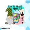 gnome-sweet-gnome-png-gnome-summer