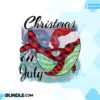 christmas-in-july-png-dolphins-lovers
