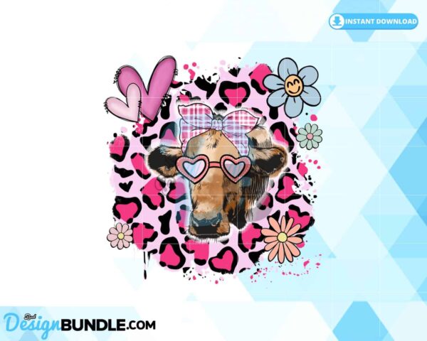 heifer-highland-cow-valentine-leopard