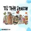 pumpkin-painted-fall-football-season-png