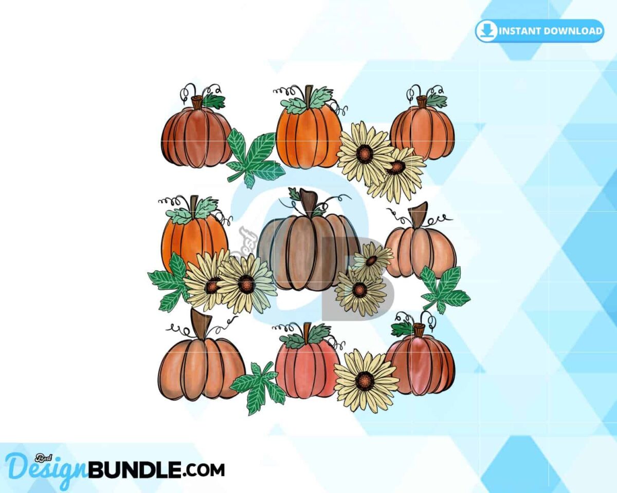 pumpkin-patch-flowers-thanksgiving-fall