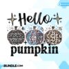 hello-pumpkin-fall-cowhide-sublimation