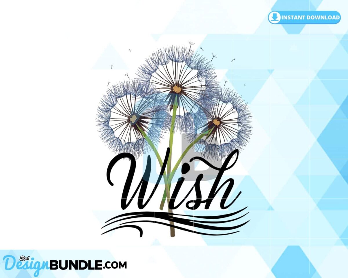 wish-clipart-png