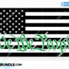 american-flag-we-the-people-green-line