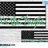 american-flag-we-the-people-green-line