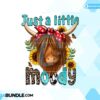 moody-sublimation-western-png-moody