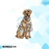golden-retriever-png-dog-clipart-png