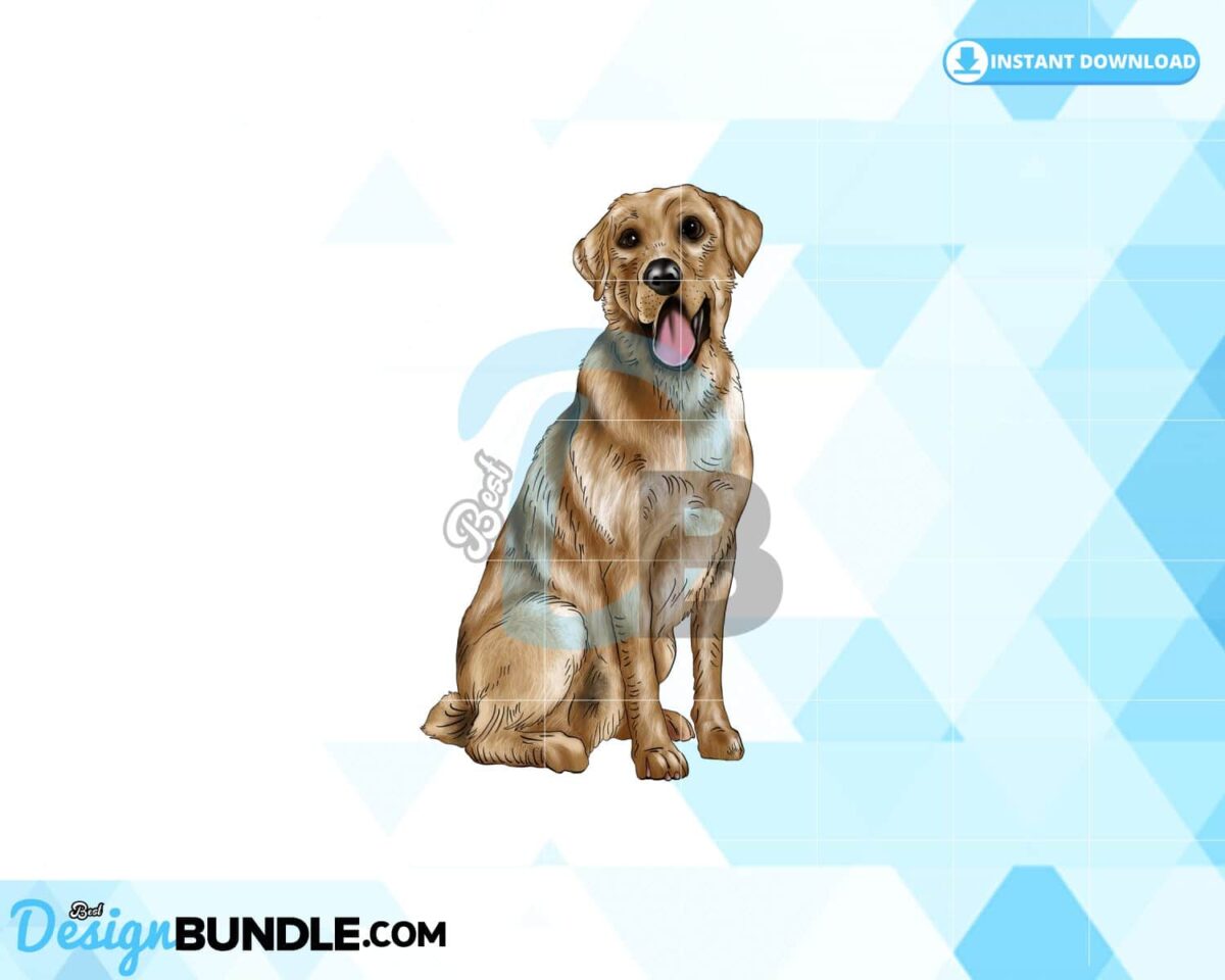 golden-retriever-png-dog-clipart-png