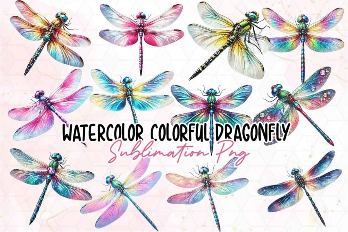 watercolor-colorful-dragonfly-clipart