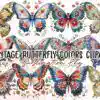 vintage-butterfly-colors-clipart-png