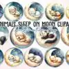cute-animals-sleep-on-moon-clipart-png