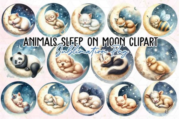cute-animals-sleep-on-moon-clipart-png