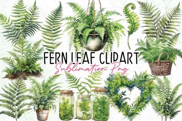 fern-leaf-clipart-png-graphics