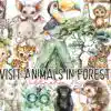 visit-animals-in-forest-clipart-png