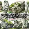 watercolor-old-small-overgrown-rock